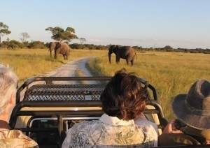 Game Drives